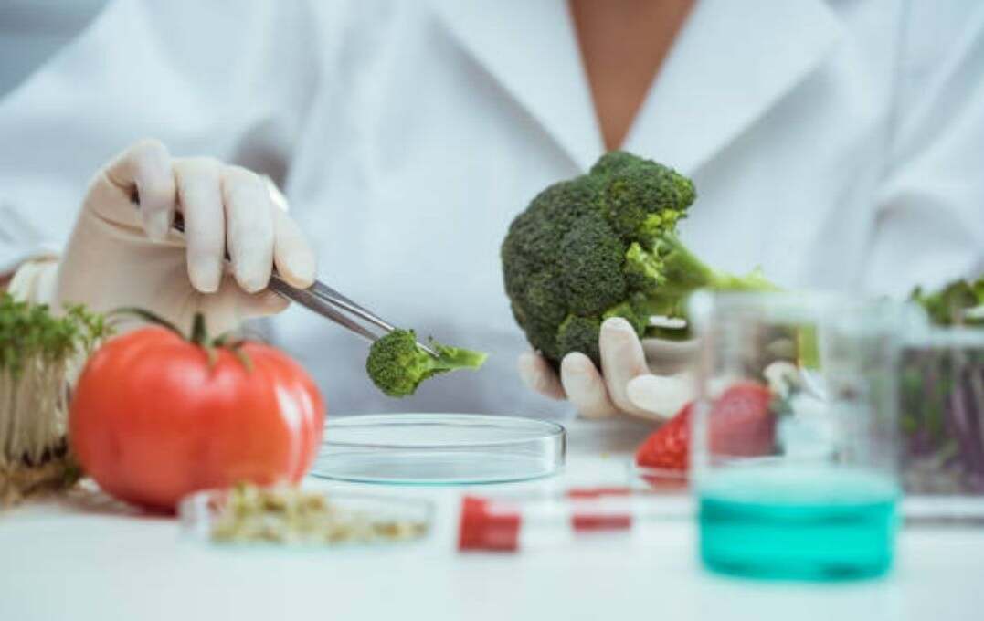 Food Testing laboratory